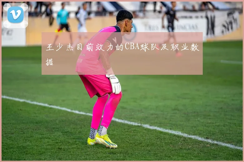 王少杰目前效力的CBA球队及职业数据