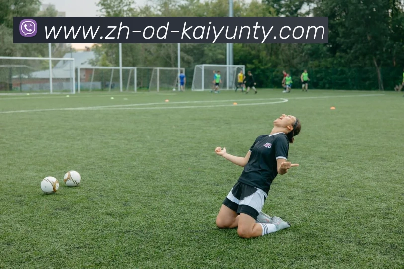 多媒体互动体验